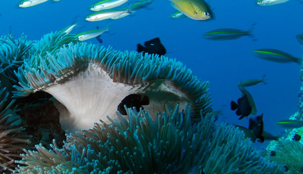 生物醫(yī)藥英文網(wǎng)站